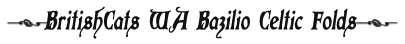 BritishCats WA Bazilio CelticFolds